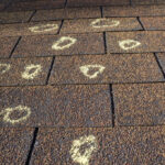 Roof Hail Damage